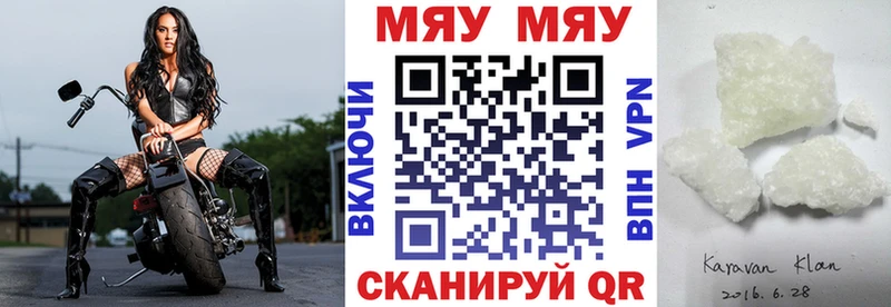 закладка  Жуков  МЕФ мяу мяу 