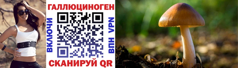 Псилоцибиновые грибы прущие грибы  Жуков 